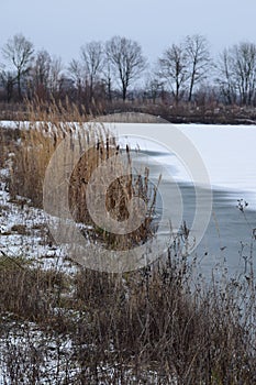 Winter landscape at the Lake
