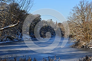 Winter Landscape at Lake Herthasee in th Neighborhood Grunewald, Berlin photo