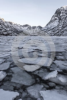 Lake during Lofoten islands winter. Snow and ice melting