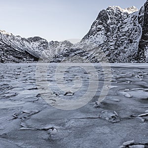 Winter landscape on a lake during Lofoten winter. Snow and ice melting