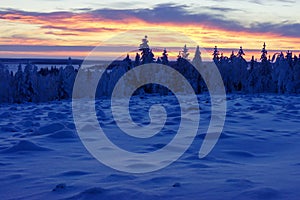 Winter landscape Lapland, Finland