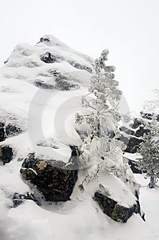 Winter landscape. Large stone and Christmas tree covered in snow