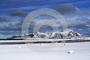 Winter landscape in Lofoten Archipelago