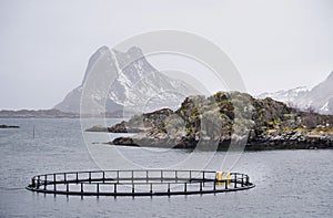 Winter landscape in Lofoten Archipelago.