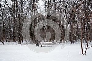 Winter landscape: a lonely snow-covered bench with an urn, bare trees, houses in the distance