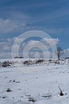 Winter landscape with lonly tree with clouds