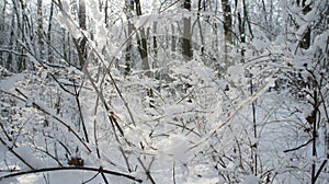 Winter landscape a lot of snow