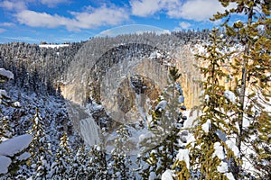 Winter Landscape Lower Falls Yellowstone River