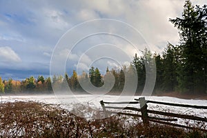 Winter Landscape on Lummi Island