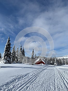 Winter landscape with a modified cross-country ski trails in Krkonose mountains, Czech Republic