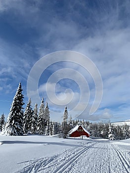 Winter landscape with a modified cross-country ski trails in Krkonose mountains, Czech Republic