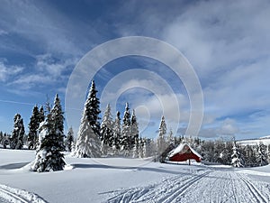 Winter landscape with a modified cross-country ski trails in Krkonose mountains, Czech Republic