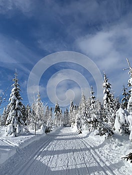 Winter landscape with a modified cross-country ski trails in Krkonose mountains, Czech Republic