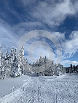 Winter landscape with a modified cross-country ski trails in Krkonose mountains, Czech Republic