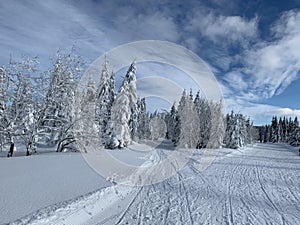 Winter landscape with a modified cross-country ski trails in Krkonose mountains, Czech Republic