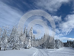 Winter landscape with a modified cross-country ski trails in Krkonose mountains, Czech Republic