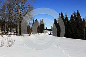 Winter landscape, Modrava, Bohemian Forest, Czech Republic