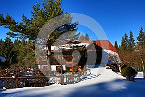 Winter landscape, Modrava, Bohemian Forest, Czech Republic