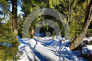 Winter landscape, Modrava, Bohemian Forest, Czech Republic