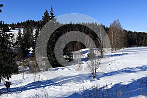 Winter landscape, Modrava, Bohemian Forest, Czech Republic