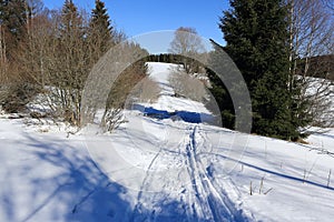 Winter landscape, Modrava, Bohemian Forest, Czech Republic