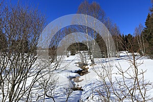 Winter landscape, Modrava, Bohemian Forest, Czech Republic