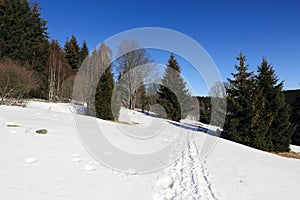 Winter landscape, Modrava, Bohemian Forest, Czech Republic