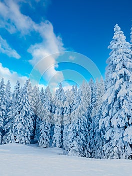 Winter landscape in Montafon