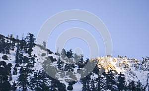 Winter Landscape in Mount Baldy