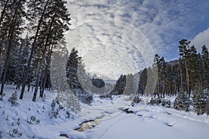 Winter Landscape in the Mountain