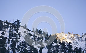 Winter Landscape in Mount Baldy