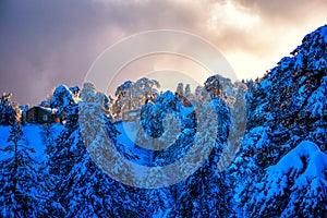 Winter landscape with a mountain house in the snow. Troodos, Cyprus