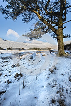 Winter landscape of mountain range with low cloud on bright morn