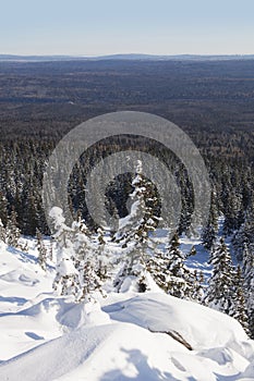 Winter landscape. Mountain range Zyuratkul. Snow covered fir trees