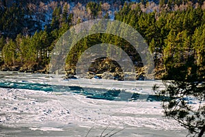 Winter landscape, mountain river valley. Turquoise river runs among snow-covered banks with coniferous forest on sunny January day