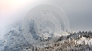 Winter landscape of mountain slope with white trees. Tree branches are covered with snow and frost