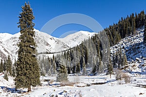 Winter landscape in the mountains