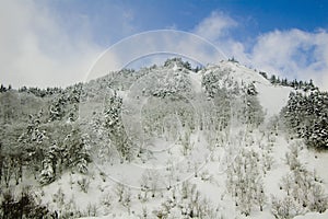 Winter landscape in mountains