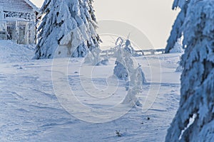 Winter landscape on the Mountains