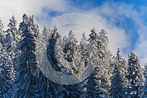 Winter landscape on the Mountains