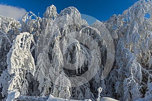 Winter landscape on the Mountains