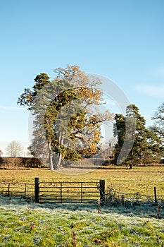 Winter landscape in the mountains of the Brecon beacons in the British countryside.