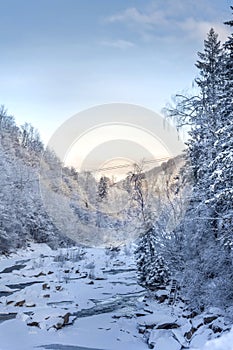 Winter landscape in the mountains with fir trees under the snow.