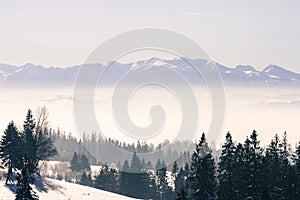 Winter landscape of mountains and forest