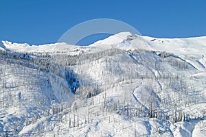 Winter landscape with mountains and trees in The Bugaboos, Purcell Mountains, Bugaboo Provincial Park, Britisch Columbia