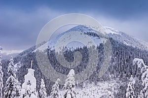 Winter landscape of the mountains. Ukrainian Carpathians in winter. Snow-covered Ukrainian mountains.