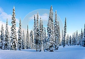 Winter landscape in the mountains under beautiful skies