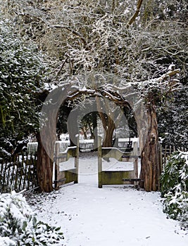 Winter landscape of the in the Musuem Gardens , York