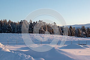 Winter landscape, nature reserve, laponian area, laponia, Norrbotten, Lapland, Sweden