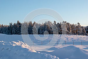 Winter landscape, nature reserve, laponian area, laponia, Norrbotten, Lapland, Sweden